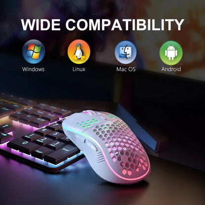 2.4GHz Wireless RGB Backlit Ergonomic Gaming Mouse with 6 Buttons, 3-Speed DPI, Type-C Rechargeable, Honeycomb Design